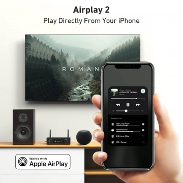Arylic H50 Ολοκληρωμένος Ενισχυτής Hi-Fi Stereo